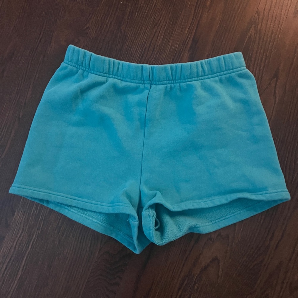 Aritzia Tna Shorts